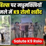 सोशल मीडिया में आपत्तिजनक पोस्ट पर शंकराचार्य मेडिकल कॉलेज ने डॉक्टर को किया सस्पेंड, एमसीआई ने कॉलेज प्रशासन से मांगी जांच रिपोर्ट…