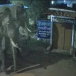 BREAKING: राजधानी में हिट एण्ड रन, तीन लोगों को ठोकर मारकर कार चालक हुआ फरार, एक महिला की हालत गंभीर…