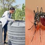 इस जिले के दफ्तरों में अब फाइल नहीं ई -फाइल दौड़ेगी, कलेक्टर ने किया ई-ऑफिस का शुभारंभ…