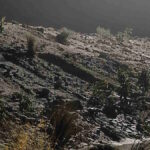 Chhattisgarh News : रेलवे प्रशासन की कार्रवाई, वेंडिंग स्टॉल को किया गया सील 