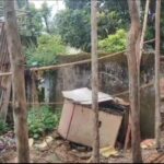 CG Morning News : लोकसभा अध्यक्ष ओम बिरला आज आएंगे छत्तीसगढ़… CM साय रन फॉर यूनिटी में होंगे शामिल… BJP करेगी यूनिटी मार्च का आयोजन… आज रायपुर महाबंद का आह्वान… पढ़ें और भी खबरें