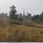 CG Morning News : केंद्रीय गृहमंत्री शाह के छत्तीसगढ़ दौरे का तीसरा दिन… बस्तर दौरे पर रहेंगे CM साय… बस्तर पंडुम 2026 का आज समापन… दिल्ली में आज कांग्रेस जिलाध्यक्षों की लगेगी क्लास… पढ़ें और भी खबरें